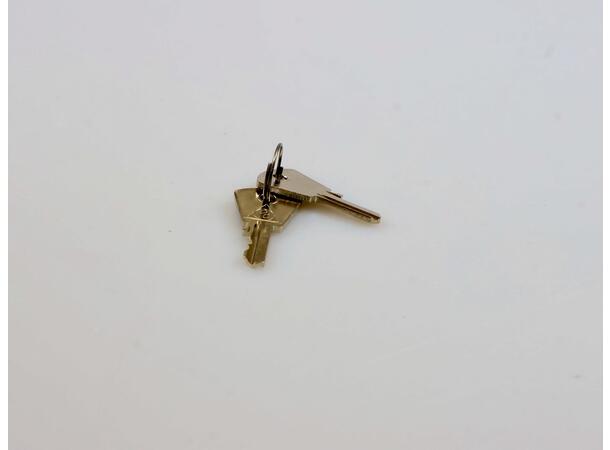 Key-Lock (Set With 2 Pieces) 