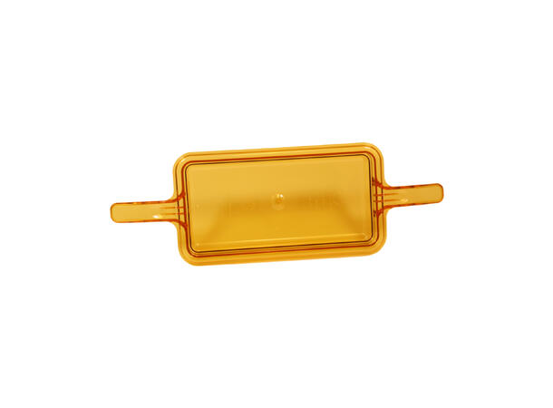 Pan GN 1/3 With Handles For Holding Bins 