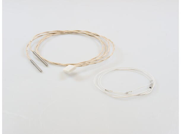 Assy-2 In RTD Probe Probe – 2" RTD 