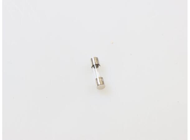 FUSE, 2 AMP Sikring, 2 A 