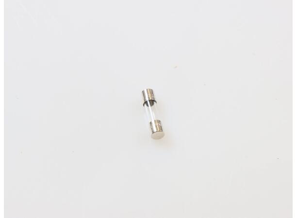 FUSE, 2 AMP 