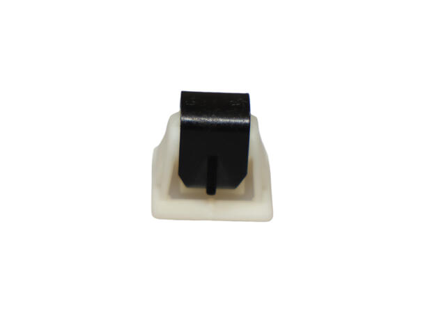 Fastener Door Latch 