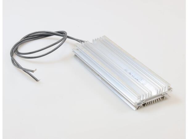Element (Varme) 100W For Skap 