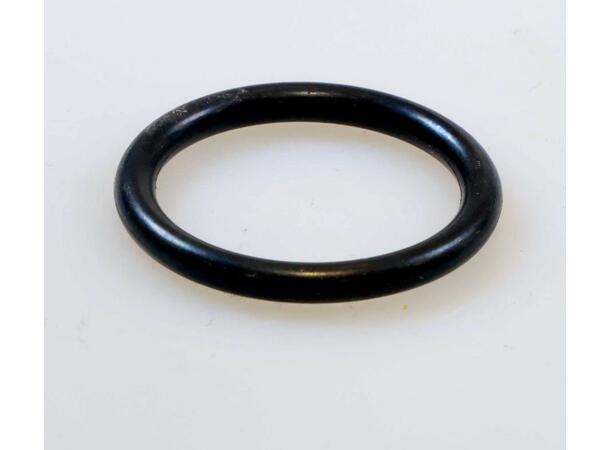 O-ring for tank adaptor 