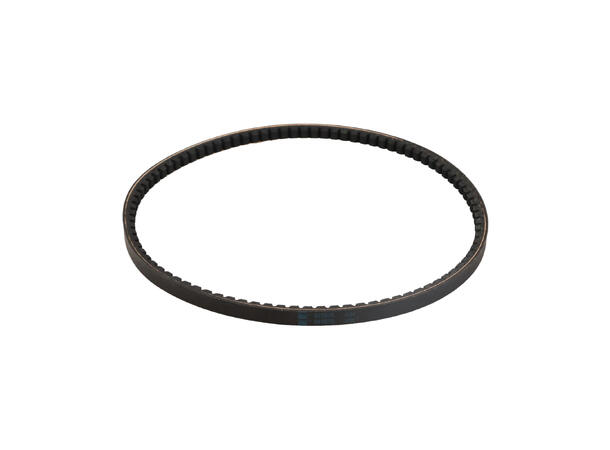 Belt AX31 C602 Shakeside Reim AX31 C602 Shakeside 