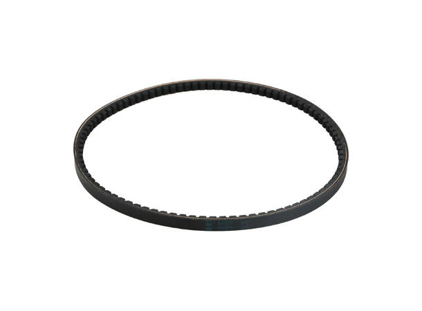 Belt AX31 C602 Shakeside 