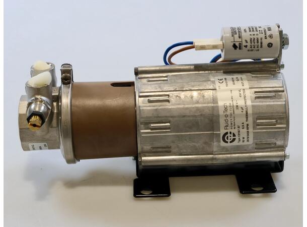 Vane pump head with motor 