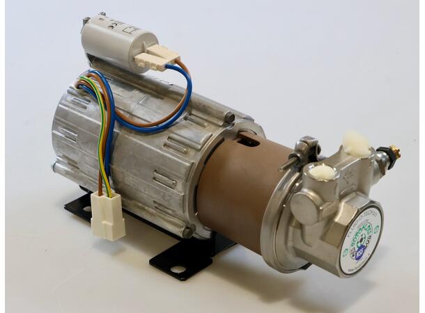 Vane pump head with motor 
