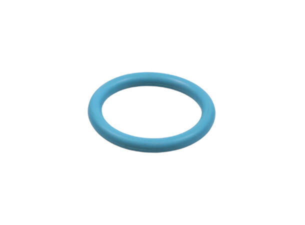 O-Ring 23.39x3.53 FKM 