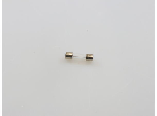 Fuse, 250VAC, 10A T, 5x20 Sikring, 250 VAC, 10 A T, 5 × 20 