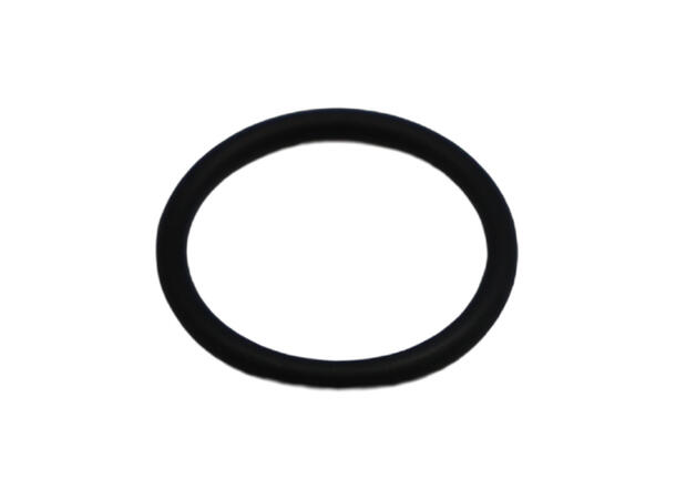 O-Ring Ø29.00X2.00 