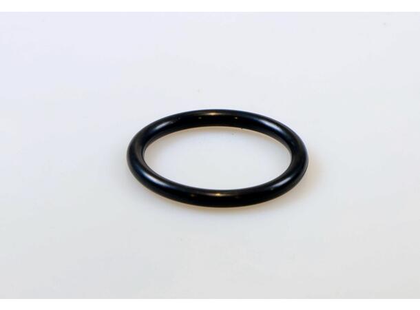 O-Ring black for drain valve 3 382.553, Ý 54 mm 