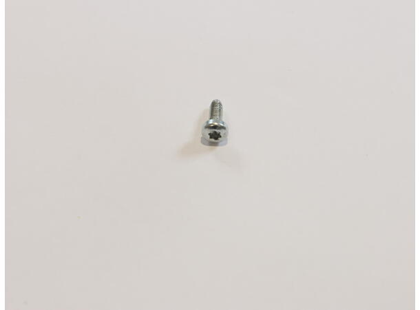Oval Head Thread Forming Screw Phi. M3x8 