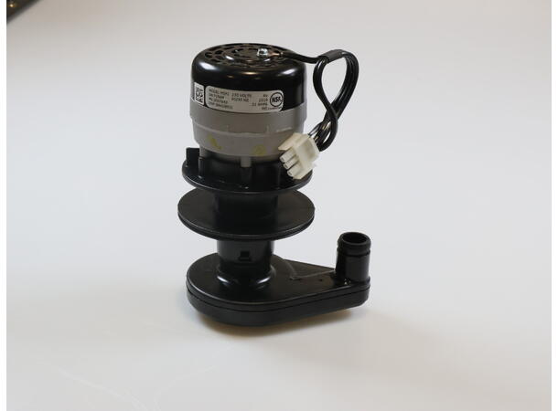 Water Pump  230V/50Hz 1PH 