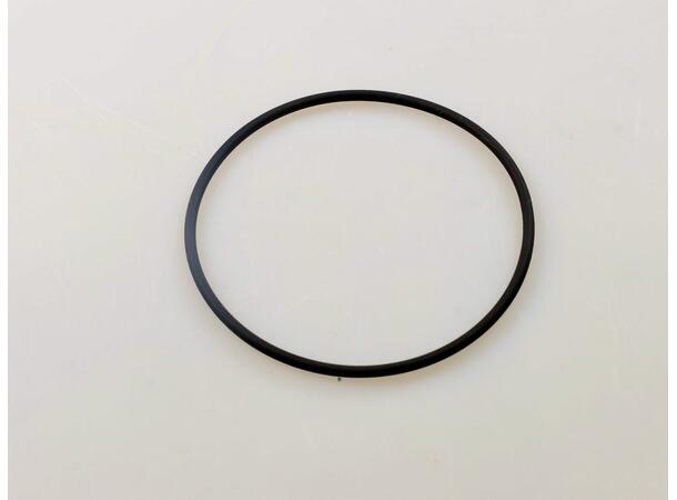 O-ring, Filter Pump 