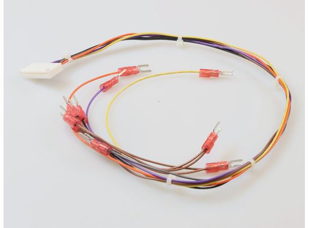 HARNESS-SSR TO I/O *C842* 