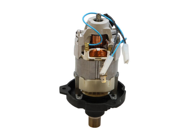 Mixer Motor - 220V/50-60 Hz/1 Ph (BIC600 )(R290) 