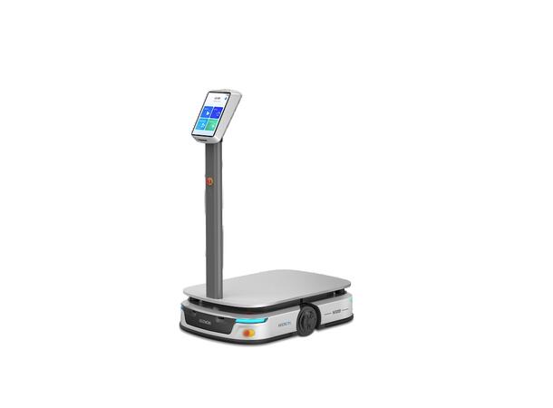 Tunglastet  Budrobot 100 kg lastkapasitet 