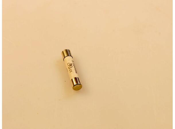 Fuse 500VAC T 8A (ø6.3x32) 