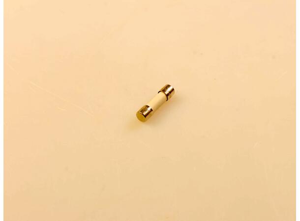 Fuse 250VAC F 8A (ø5x20) 