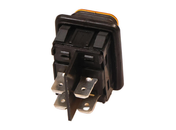 Switch (New Model Since 5/98) 250Volt, 2 0 Amp, 